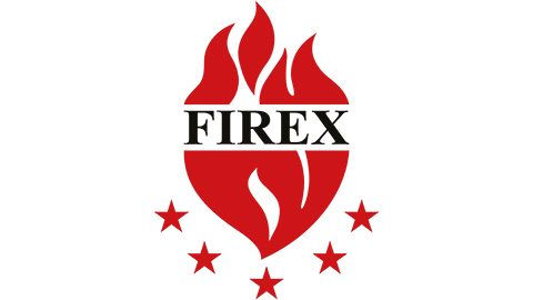 FireX logo copy